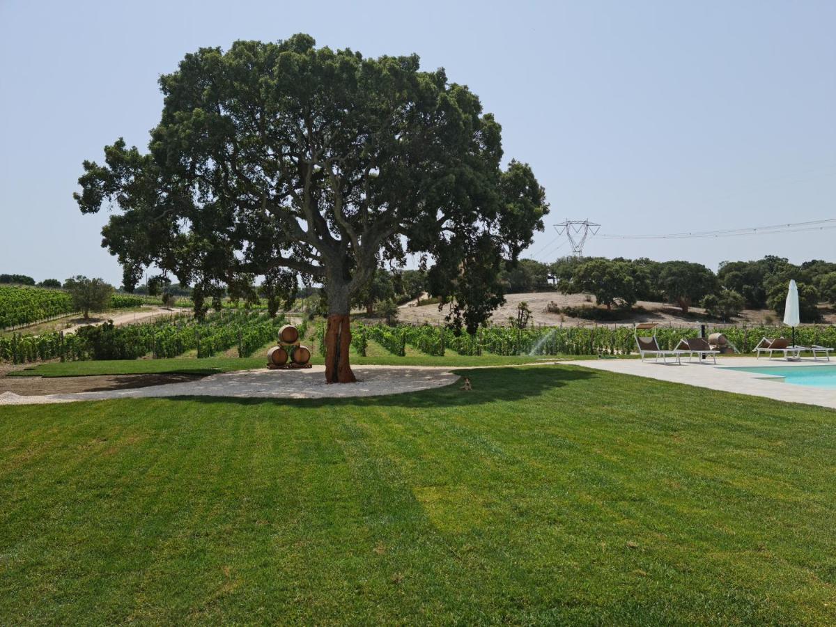 La Vinia Bed&Wine Experience - Adults Only Villa Sassari Buitenkant foto