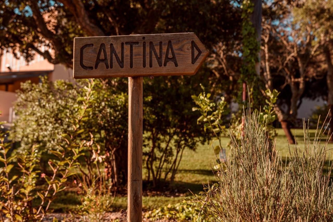 La Vinia Bed&Wine Experience - Adults Only Villa Sassari Buitenkant foto