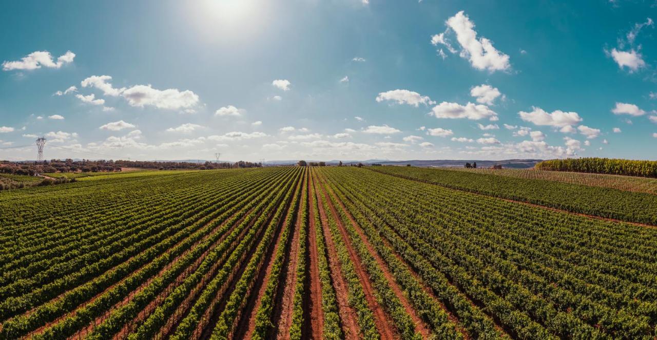La Vinia Bed&Wine Experience - Adults Only Villa Sassari Buitenkant foto
