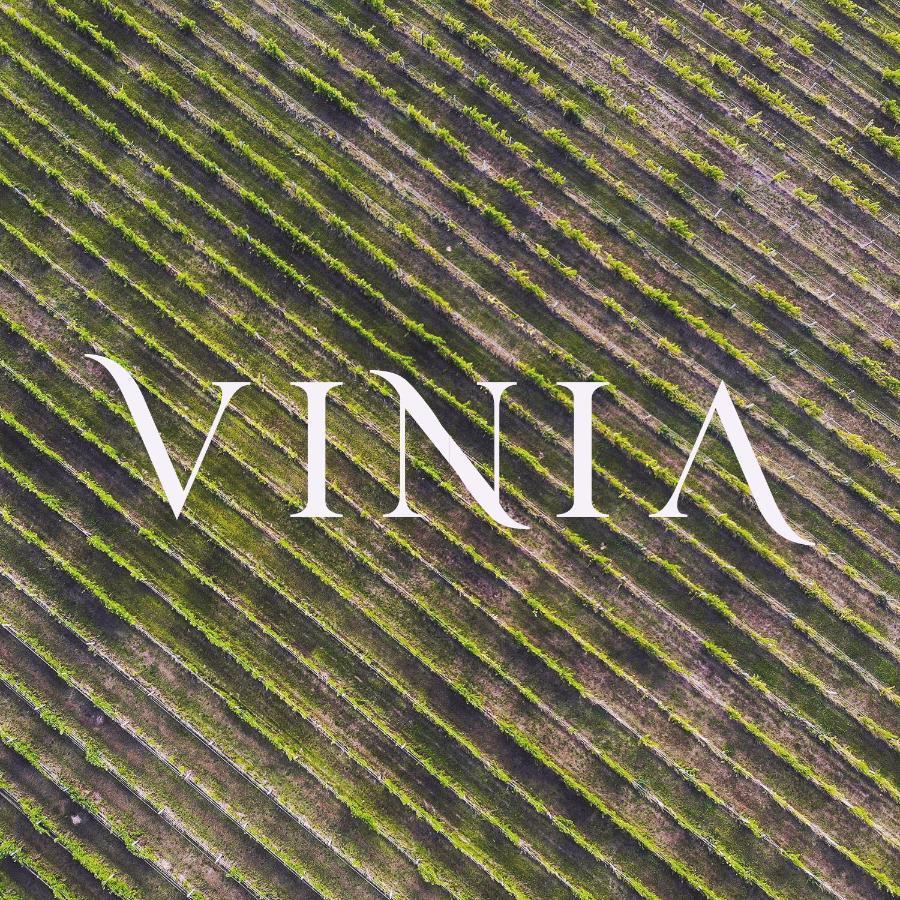 La Vinia Bed&Wine Experience - Adults Only Villa Sassari Buitenkant foto